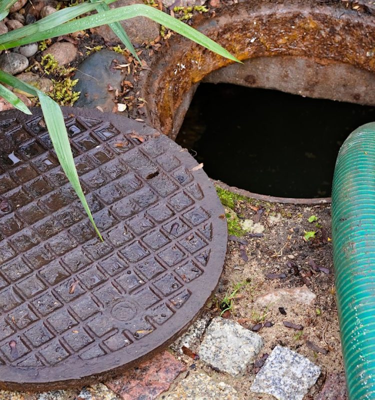 Septic hose running into man hole